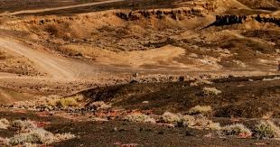 樊振东3-1户上隼辅五佳球：无排名小将 打懵日本男乒二哥